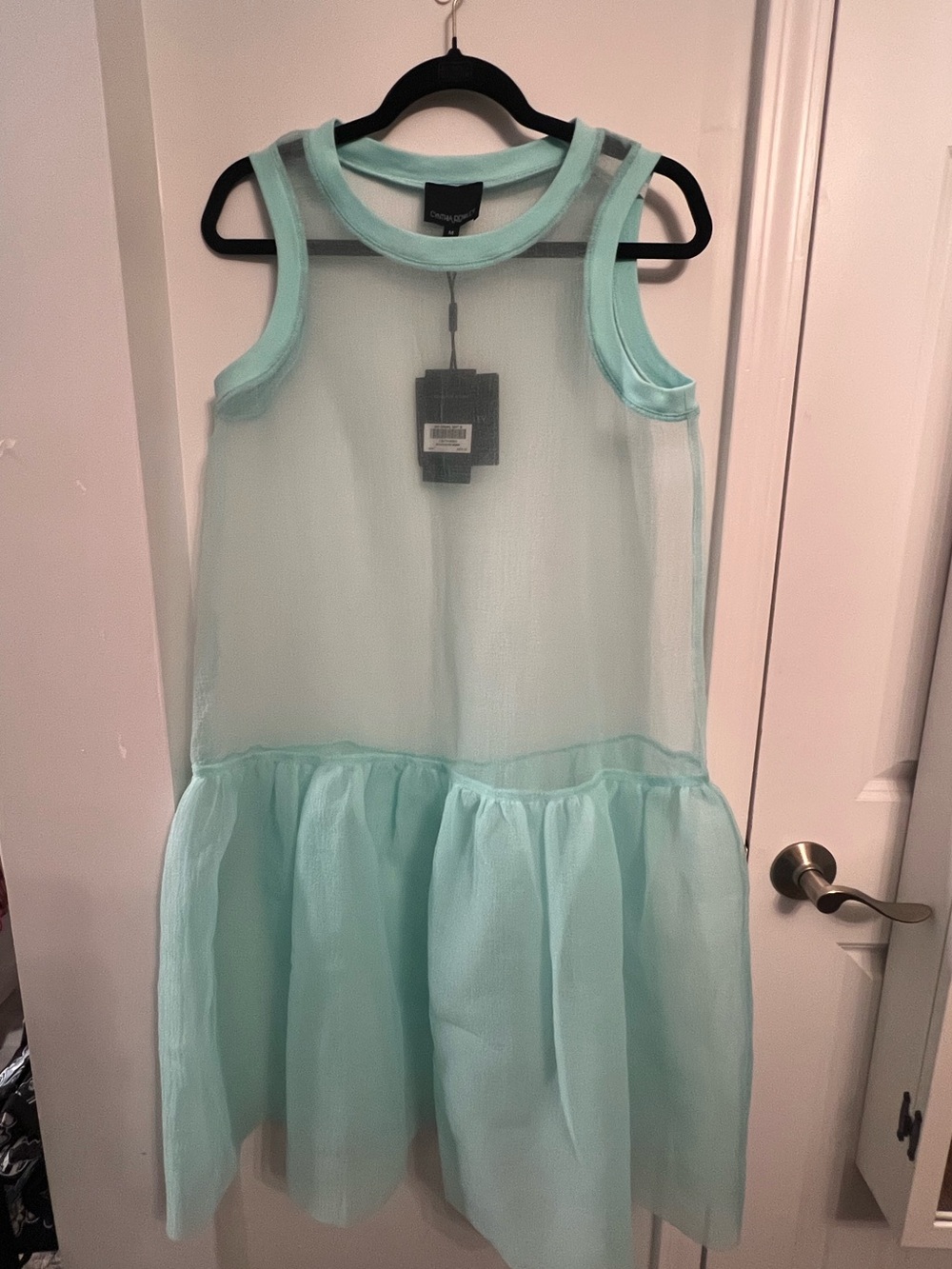 Cynthia Rowley Mint Sheer Organza Rob Dress; size M; NWT